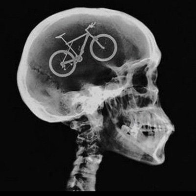 Brain cycle.jpg
